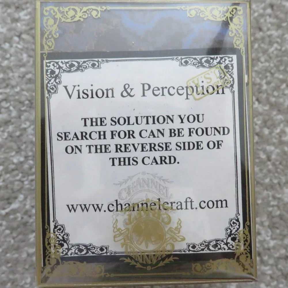 COPY - NEW Vintage Channel Craft Wooden Vision & Perception Puzzle - USA - Picture 2 of 3